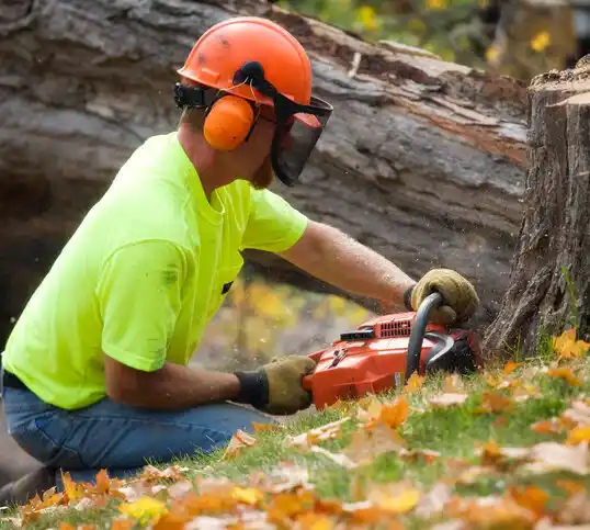 tree services Lakes of the North